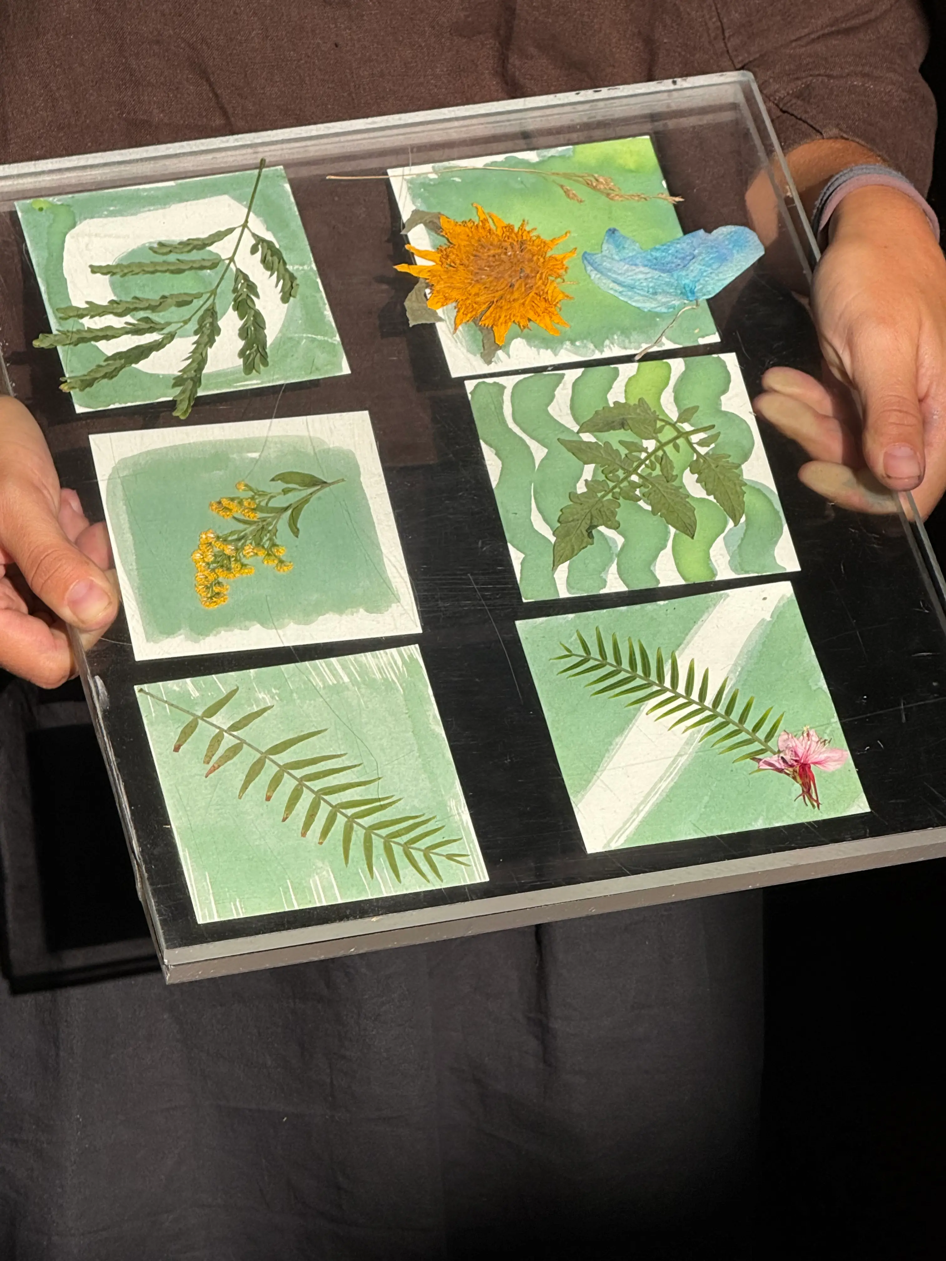 A botanical artwork held inside the Oia Oenosart canava