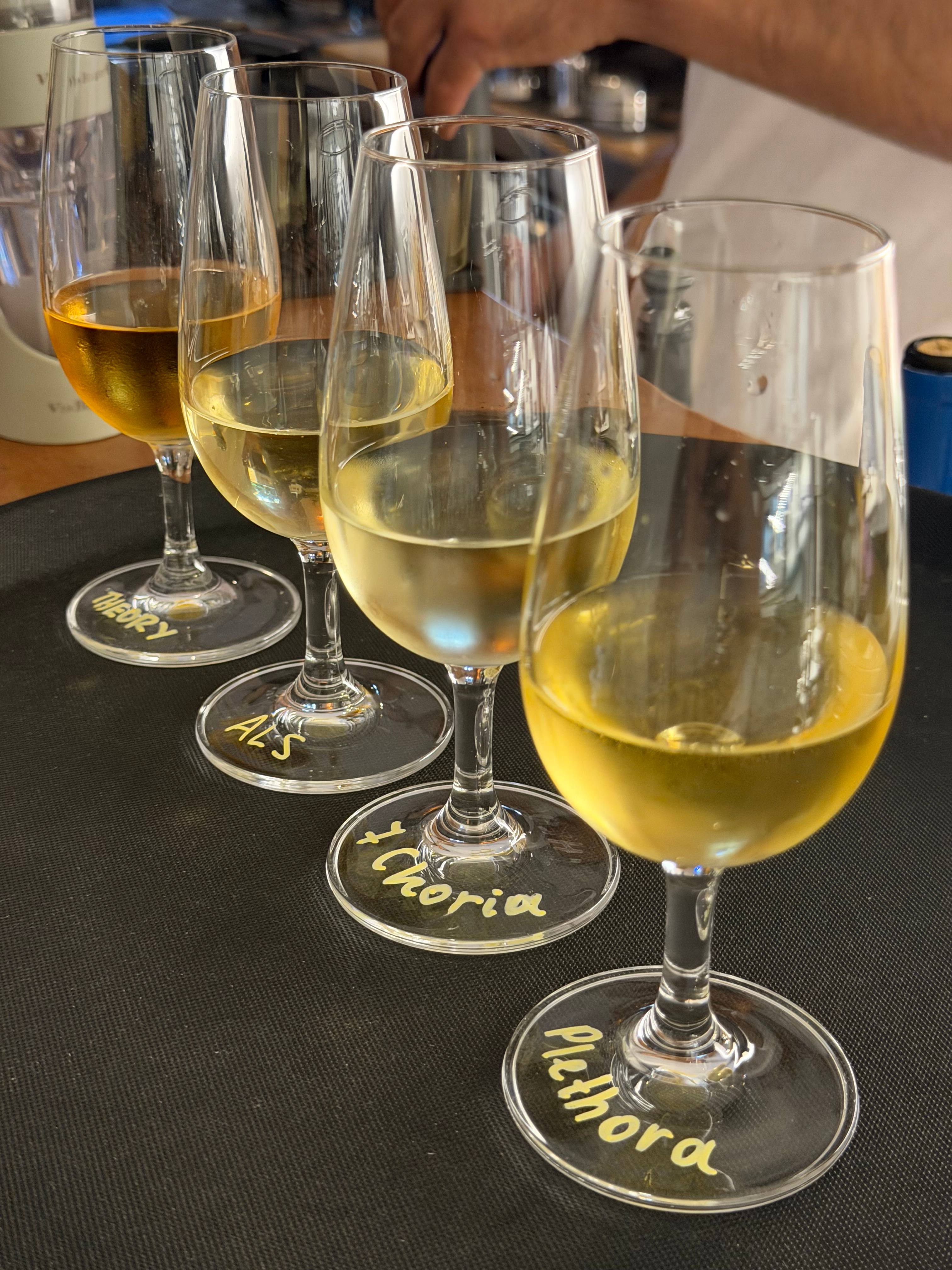 White wines prepared as a tasting flight at Oia Oenosart